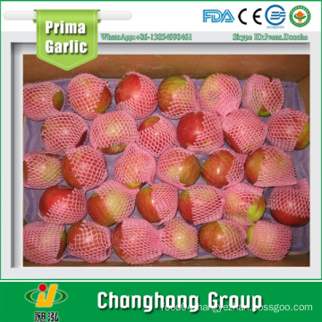 2015 New Jiguan Apple 150/163/175/198